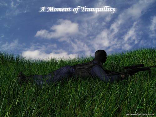 A Moment of Tranquillity