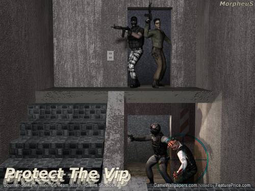 Protect the vip